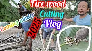 Lakadi kaatne Wala Dekho🪓/How to cutting fire 🔥 wood// 