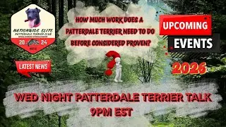 Patterdale Terrier Talk Bark - 38