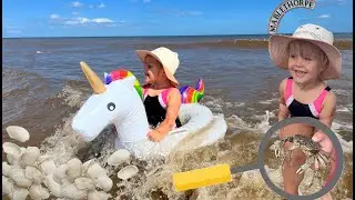 Catching Waves on the Mablethorpe beach. Incredible! We Found a Real Crabs!