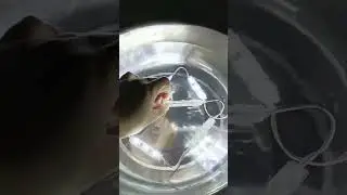 Waterproof led module can be used in water