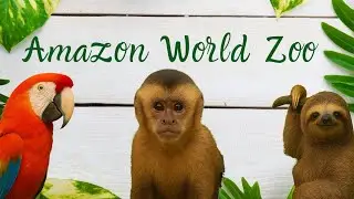🌍🐒 Amazon World Zoo Park | Isle of Wight’s Top Wildlife Attraction 🦜🐊 #isleofwight #zoo