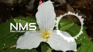 S3RL - Trillium(ft Sara) | Electronic Dance Music | Dyn Remix | NMS