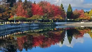 2022 Autumn Colors on Vancouver Island | Beautiful Fall Foliage