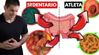 [INCREÍBLE]🤯Así es Cómo cambia tu SALUD DIGESTIVA cuando haces EJERCICIO FÍSICO de esta forma