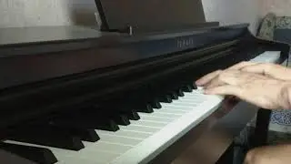 Появление Алисы. 