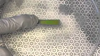 W-Ink: Multilevel Encryption of Wettability (2 level demo)