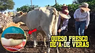 Queso con Leche Bronca: El Sabor que ya NO Existe