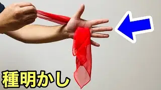 合成ではありません。ハンカチが手を貫通する手品【種明かし】Magic Tricks Anyone Can Do Revealed!