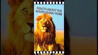 The LOST Kings of Africa!🦁(Extinct in the Wild!).