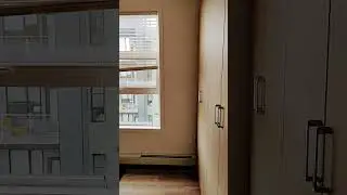 see through door