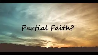 Partial Faith ?