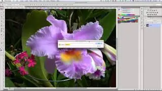 07 Photoshop: Color Picker, Color Libraries, Swatches, Preset Manager