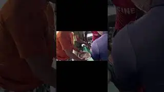 Gentle and Accurate Fish Semen Harvesting Tips
