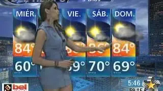 ERIKA EDMA Multimedios Houston
