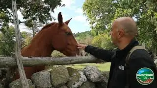 SANTA INÉS   Recorriendo Soria