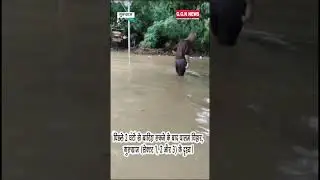 पिछले 2 घंटों से बारिश रुकने के बाद पालम विहार, गुरुग्राम (सेक्टर 1, 2 और 3) के दृश्य।