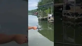 Мягкая приманка Catfishing #swimbait #bassfishing