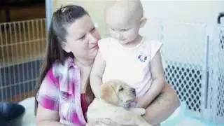Providing Moments of Joy with Pile of Puppies | JoyRx