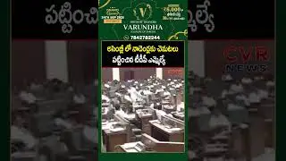 అసెంబ్లీ లో నాదెండ్లకు చెమటలు పట్టించిన టీడీపీ ఎమ్మెల్యే| TDP VS Janasena | AP Assembly | CVR