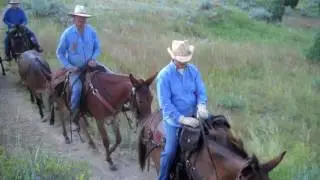 ND ROUGH RIDERS