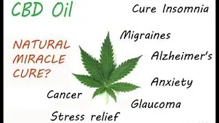 CBD Oil is a Cannabinoid derived from the Cannabis plant, and is Amazing!