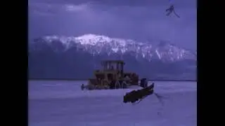 Salt Grading