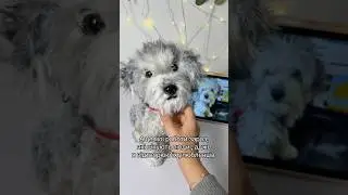 спогади, до яких можна доторкнутись 🥺 #realisticanimal #realistictoy #улюбленці #улюбленецьпофото