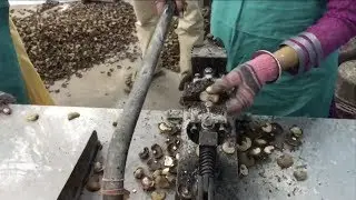 DO-IT &ndash; Old and new method of crushing organic cashew nuts in India