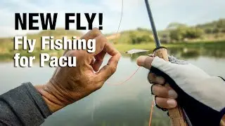 Testing New Fly in Monster Pacu Pond (Crazy Outcome!)