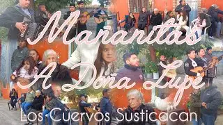 5/12/25 Festejando a Doña Lupe en sus 88 años con el mariachi Nacional en Los Cuervos Susticacan