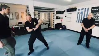 Krav Maga Expert Vassilis Petridis In Action