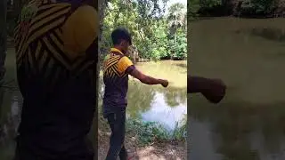 Asian Traditional hook fishing #viral #fishing #hook #fish #viral #village #fishing