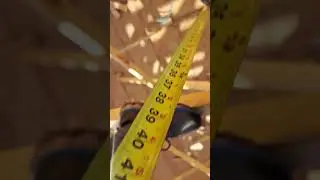 ✅️#ideas =lifting 🔨(tape measure many things are useful) #construction #carpentry
