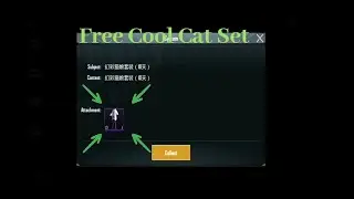 Free cool cat set in PUBG