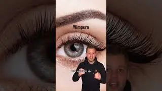 Sind wir die einzigen Lebewesen mit Wimpern?