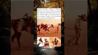Hidalgo, The Exceptional Spanish Mustang Horse That Wrote History #equestrianlife #horse
