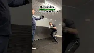 How effective is the gazelle punch?