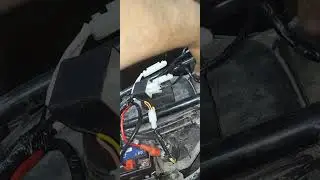 Conectar arn&eacute;s princip Italika DM 250X 2024 cableado conectores circuit elec luces trasera delantera