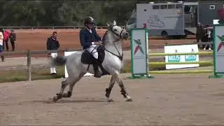 concours équestre deux étoiles aux Royal Complexe des Sports Équestres Dar Es Salam. (février 2017)