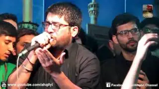 Wa Hasan e Sabz e Qaba | Mir Hasan Mir  | Minhajul Hussain (as) Lahore  2016/1438.