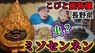 【こびと固有種】ミソセンネン【こびとづかん】長野県のコビト