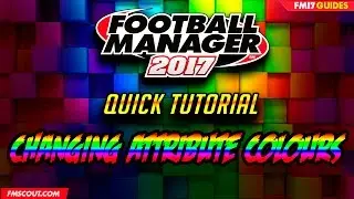 How to Change Attribute Colours - Football Manager 2017