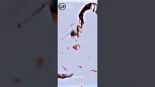 Magh Bihu Whatsapp Status 😍 full Screen Status 🥀Kosu Bihu Song Deeplina Deka Status 2023 ❤️