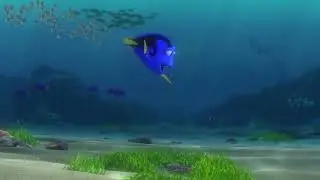 Marlin meets Dory first time by accident in Finding Nemo