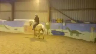 Solution Saddles Before & After Testimonial June 2016