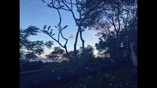 Peaceful Evening and Reflective Mood