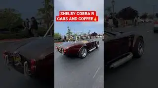 RARE SHELBY COBRA R AT CARS AND COFFEE🔥 #shorts #cobra #shelby #viral #youtubeshorts