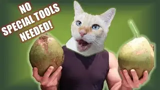 How to Cut Open a Young (Green) Coconut - Cat Lady Fitness