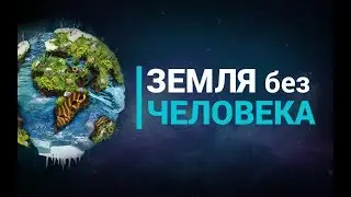 Что если бы Земля существовала без человечества?