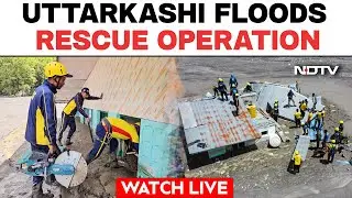 Uttarakhand News LIVE | Rescue Operations In Uttarakhand Days After Massive Landslides